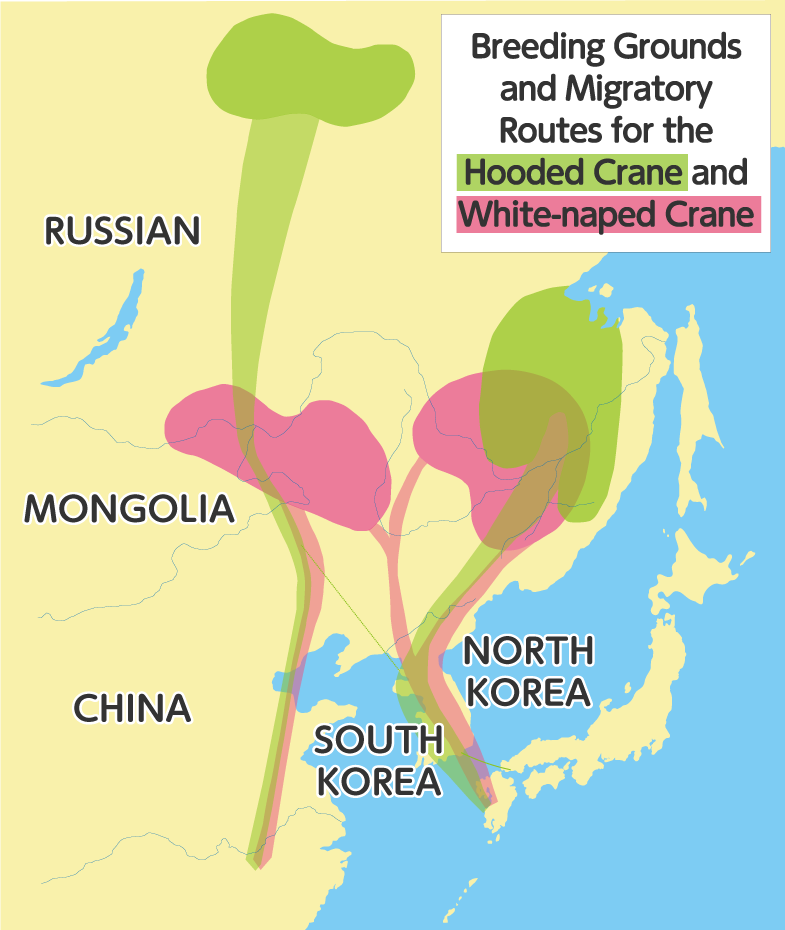 Breeding Grounds and Migratory Routes For the Hooded Crane and White-naped Crane